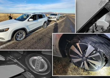 Jóvenes estadunidenses movilizan migrantes irregulares a través de frontera de Arizona