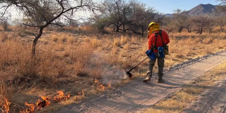 Brigadas combaten 3 incendios forestales en Sonora; sofocan uno más que deja 85 hectáreas afectadas