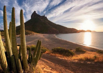 Sonora destaca entre los estados con mayor ánimo de invertir en México