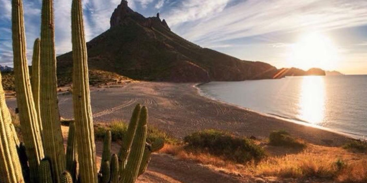 Sonora destaca entre los estados con mayor ánimo de invertir en México