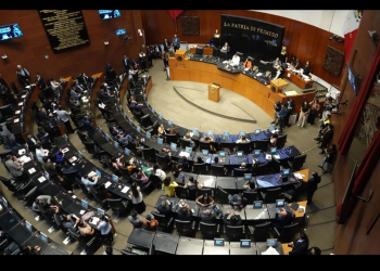 ONU llama a Senado a garantizar libertad de expresión en Ley de Telecomunicaciones