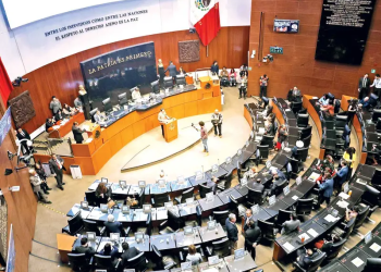 Con CURP ‘se jubila’ la credencial del INE; ahora será el documento oficial