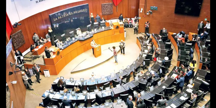 Con CURP ‘se jubila’ la credencial del INE; ahora será el documento oficial