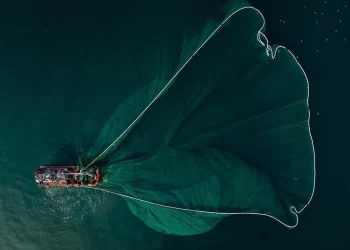 Sobrepesca: lo que nos han enseñado las finanzas, pero no aplicamos a la naturaleza