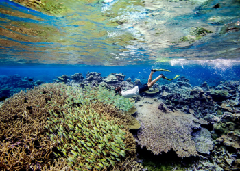 Trump abre una zona marina protegida en el Pacífico a la pesca comercial