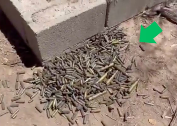 Hallan ‘nido’ de casquillos: Madres buscadoras documentan nuevo rastro de violencia