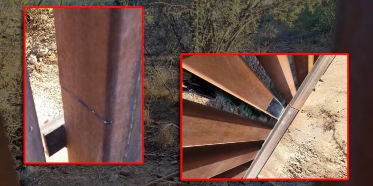 Frustran contrabando de personas en la frontera de Douglas, Arizona