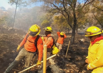 Vinculan a proceso al “Ponchis”, presunto asesino de un mando policiaco en Sonora