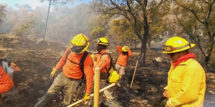 Vinculan a proceso al “Ponchis”, presunto asesino de un mando policiaco en Sonora