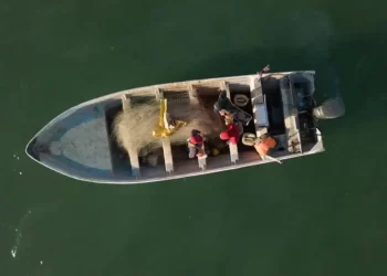 Pescadores de hábitat vaquita marina siguen sin rastreo satelital; México incumple meta
