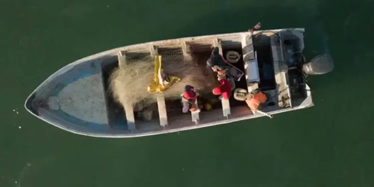 Pescadores de hábitat vaquita marina siguen sin rastreo satelital; México incumple meta