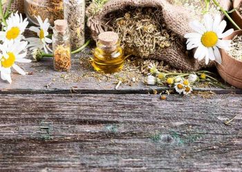 La medicina herbolaria en Hermosillo: un recurso tradicional vivo en la salud comunitaria