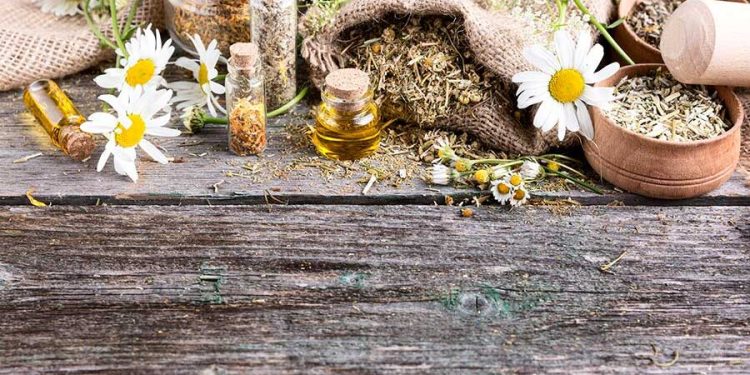 La medicina herbolaria en Hermosillo: un recurso tradicional vivo en la salud comunitaria