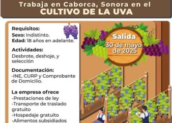 Postúlate para jornalero agrícola en Sonora y Baja California