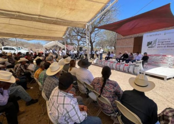 Secretaría de Agricultura impulsa producción agrícola con Programa Fertilizantes para el Bienestar en Sonora