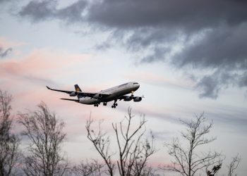 Crece venta de carros nuevos en Hermosillo