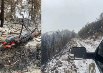 Cae Aguanieve en Zona Afectada por Incendio Forestal en Nácori Chico