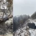 Cae Aguanieve en Zona Afectada por Incendio Forestal en Nácori Chico
