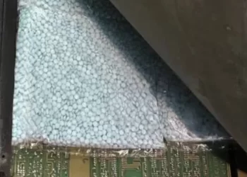 FGJE Descarta Presunto Intento de Robo de Niño por Fuera de Guardería en Navojoa