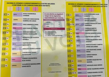 Elección judicial en Sonora: ¿Ventaja especial para los hombres? INE, niega favoritismo