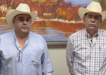 Exportarán este lunes últimas cabezas de ganado previo a cierre por gusano barrenador