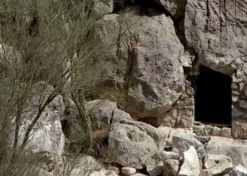 Encuentran Droga Dentro de Cueva en Cerro de la Campana de Hermosillo