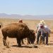 Reserva de Janos protege biodiversidad única en el país