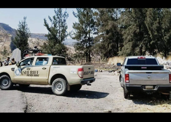 Colima, Morelos y Guanajuato son los estados con más deterioro en seguridad: Índice de Paz