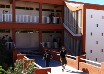 ¿Qué Hacer Después de Ser Admitido en la Universidad de Sonora? Esto Debes Saber