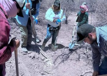 Colectivos de buscadoras localizan restos