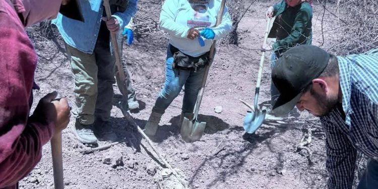 Colectivos de buscadoras localizan restos