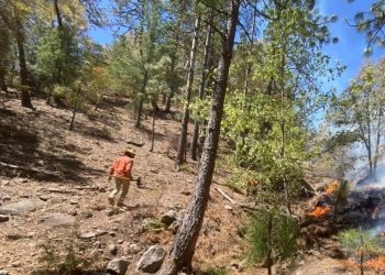 Incendios forestales que afectan sierra de Sonora se extienden a Chihuahua