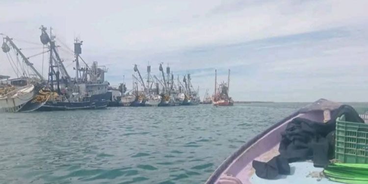 Alertan por avistamiento de tiburones en costas del sur de Sonora
