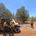 Atienden incendio forestal en la zona limítrofe entre los estados de Chihuahua y Sonora