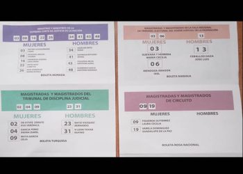 INE reconoce ‘existencia masiva’ de acordeones