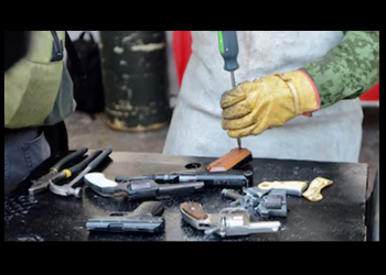 Funcionarios de CFE, Pemex y SAT podrán portar armas, aprueba el Senado