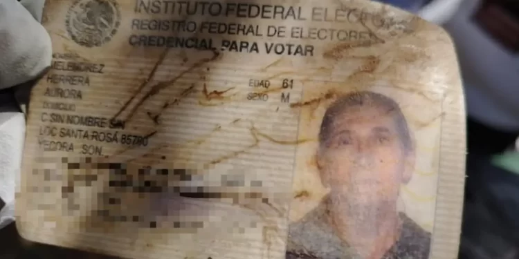 Madre buscadora Aurora Meléndez falleció buscando a su hijo; hallan su cuerpo con la INE de su mamá en sus manos