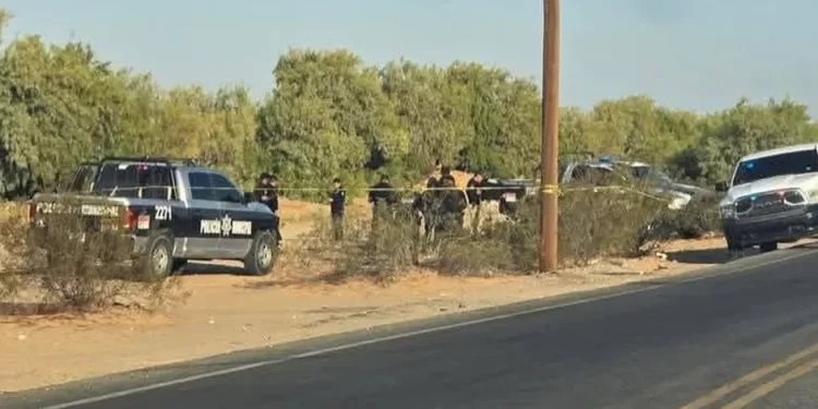 Reportan enfrentamiento entre militares y civiles armados; localizan cuerpos en Sonora