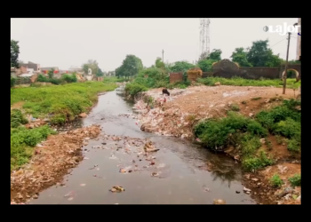 México, uno de los 10 países que más basura electrónica genera en el mundo: estudio