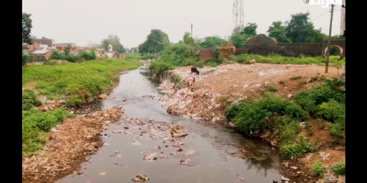 México, uno de los 10 países que más basura electrónica genera en el mundo: estudio