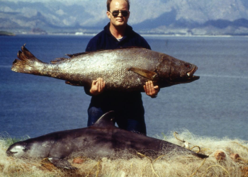 La asombrosa vaquita mexicana, una batalla contra la extinción | Pt. 2 