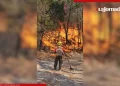 Brigadistas luchan en Sonora para contener 4 incendios forestales