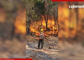 Brigadistas luchan en Sonora para contener 4 incendios forestales