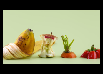 México tira 13millones de toneladas de comida al año