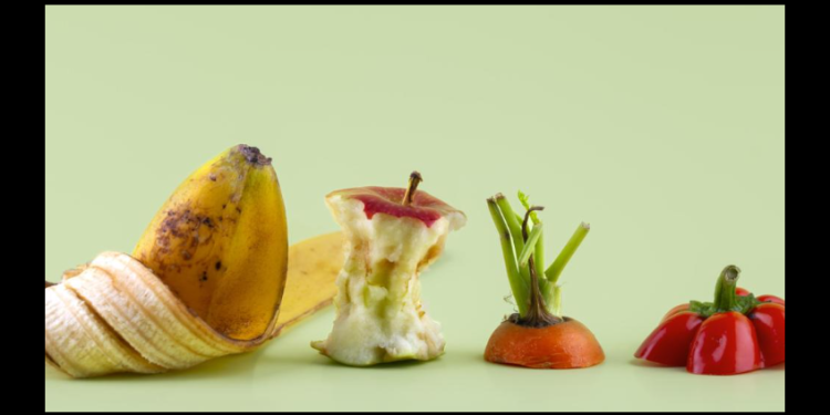 México tira 13millones de toneladas de comida al año