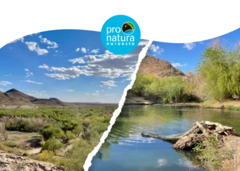 Corredor Verde Río Sonora: un proyecto para transformar Hermosillo