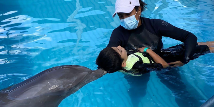 Darán terapias con delfines a personas con discapacidad; CEDES y DIF Sonora firman convenio