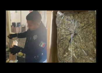 Envían droga por paquetería; es incautada por policías estatales derivado de un reporte al 911