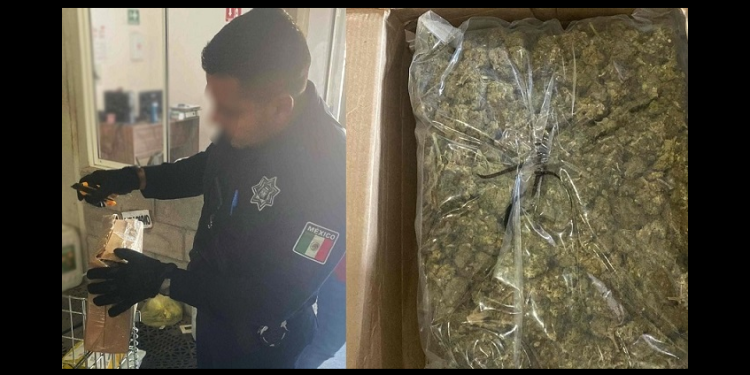Envían droga por paquetería; es incautada por policías estatales derivado de un reporte al 911