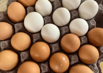 Ellos son los millonarios de Sonora; esto hicieron para crecer su fortuna